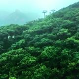 梦中那片海滩头像
