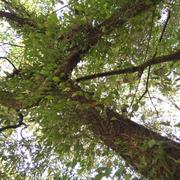 韩斌727的个人资料头像