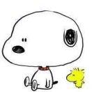 jiang本尊69549的个人资料头像