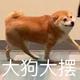 桐叶kirihali · 领克03车主·车龄3年头像