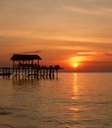 thorne的个人资料头像