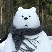 lsnow的个人资料头像