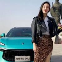 金鑫车行一汽红旗奔腾风神头像