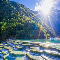 杉树鹿夏天skfK头像