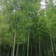 用户8951701144510头像