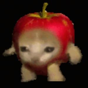 苹果猫头像