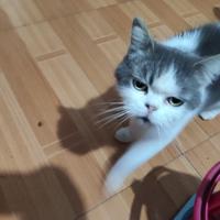 何万嘉头像