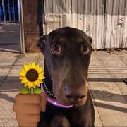 tyl602的个人资料头像