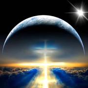 星空442的个人资料头像