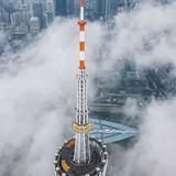 江厚望头像