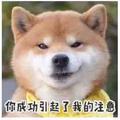 闹2019头像