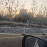 元气星星Pcs头像