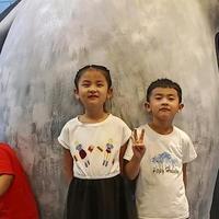 2B你好！2B再见！头像