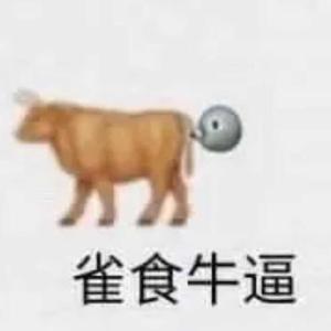 雀牛头像