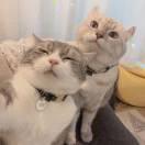 zk酱的个人资料头像