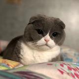 一个哒不妞505头像