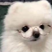 用户1090232027691的个人资料头像