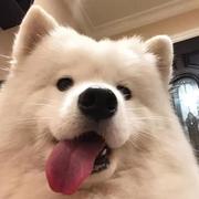 不喜欢吃秋葵的个人资料头像