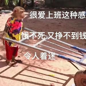 刘教练的摸鱼日常….头像