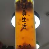 cup  of   life头像