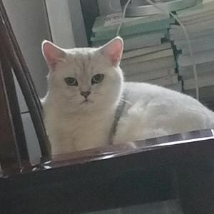 用户2091101109669头像