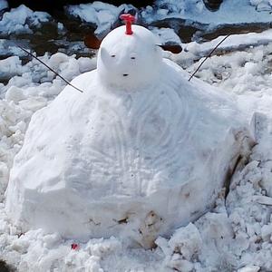 雪雁鸣湖头像