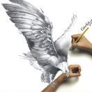 wagzho的个人资料头像