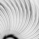 阿尔法本尊的个人资料头像