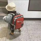 谦之谜791头像