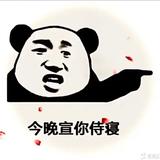 风向决定发型d66523头像