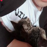 旧巷的猫🐱头像