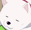 YangLei0213头像
