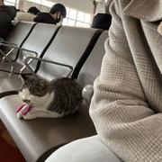 王大心的个人资料头像