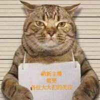 一只又肥又懒的猫头像