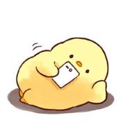 zdd39的个人资料头像