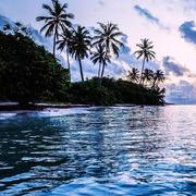 tlwho的个人资料头像