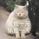 动漫主角372 · 哈弗赤兔车主·车龄3年头像