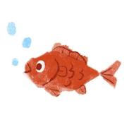 阿仆来耶的个人资料头像