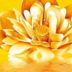一卦通~回钛亦头像