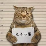 TonyDaiShui头像