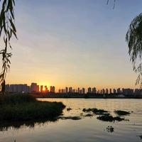 不止路亚小路哥头像