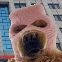 我不买大雕头像