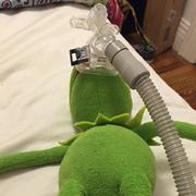 triumph566的个人资料头像