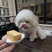 Yaricblacc的个人资料头像