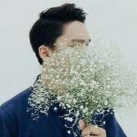 正直金桔5i4头像