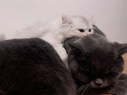 兜里有百万的个人资料头像