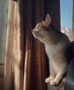 米粒不长牙的个人资料头像