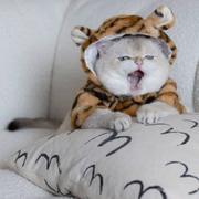 三尺708的个人资料头像