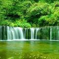 清晨流水3250头像