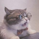 巴伐利亚潜水艇头像